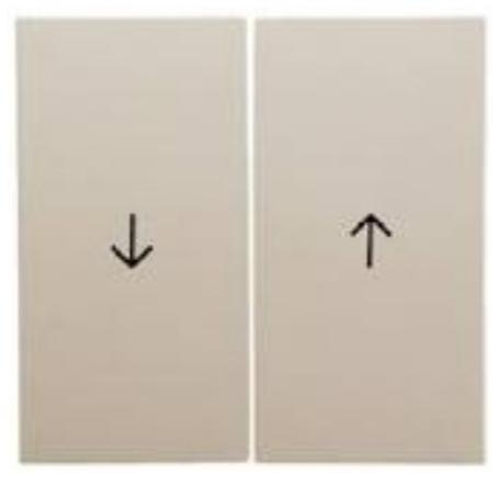 Berker Kwadrat kremowy - klawisz żaluzyjny