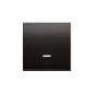 Simon 54 Premium antracyt - klawisz pojedynczy z oczkiem do łączników i przycisków podświetlanych DKW1L/48