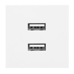 Port modułowy z ładowarką 2xUSB OR-GM-9010/W/USBX2