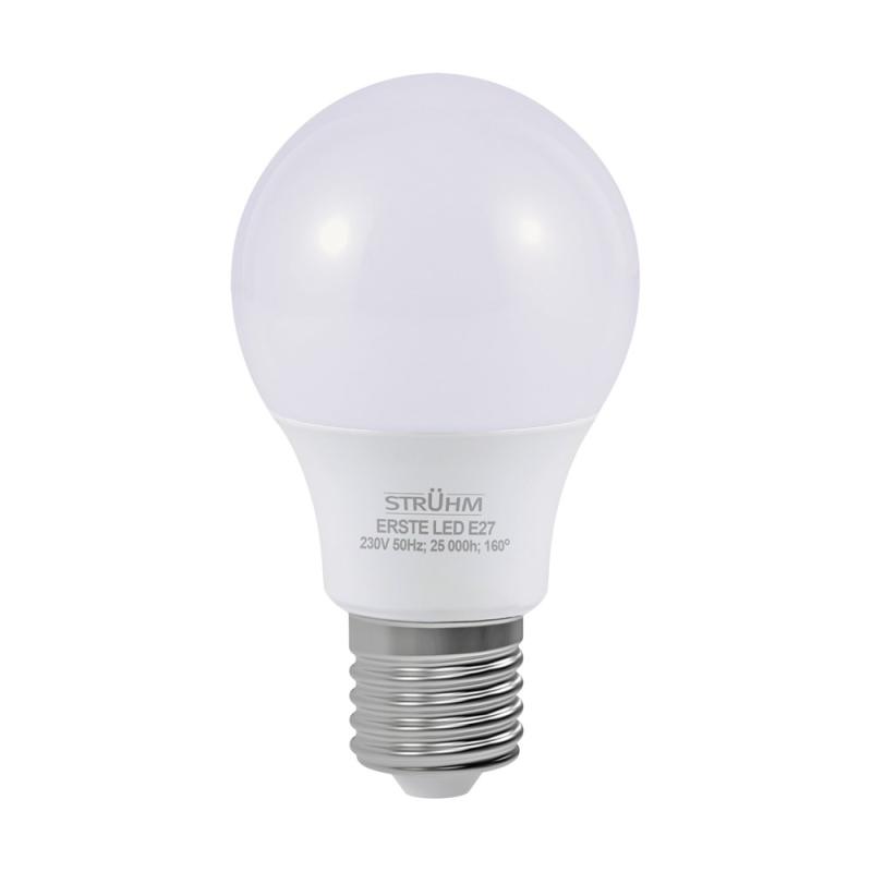 Żarówka LED ERSTE LED E27 8W WW