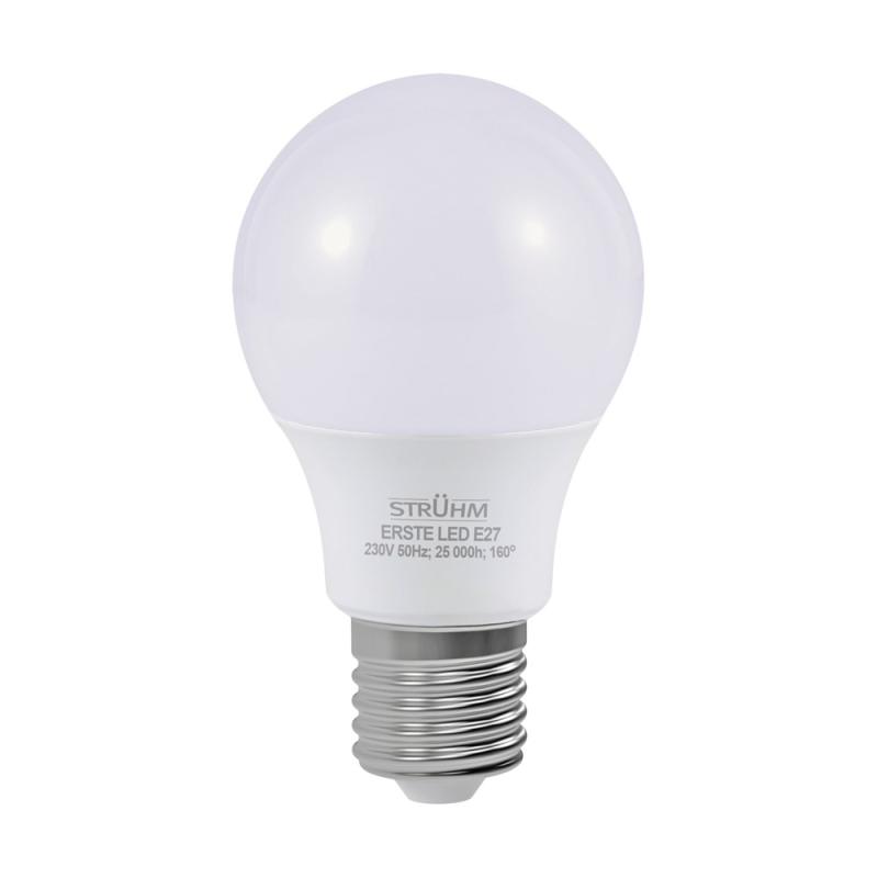 Żarówka LED ERSTE LED E27 10W WW