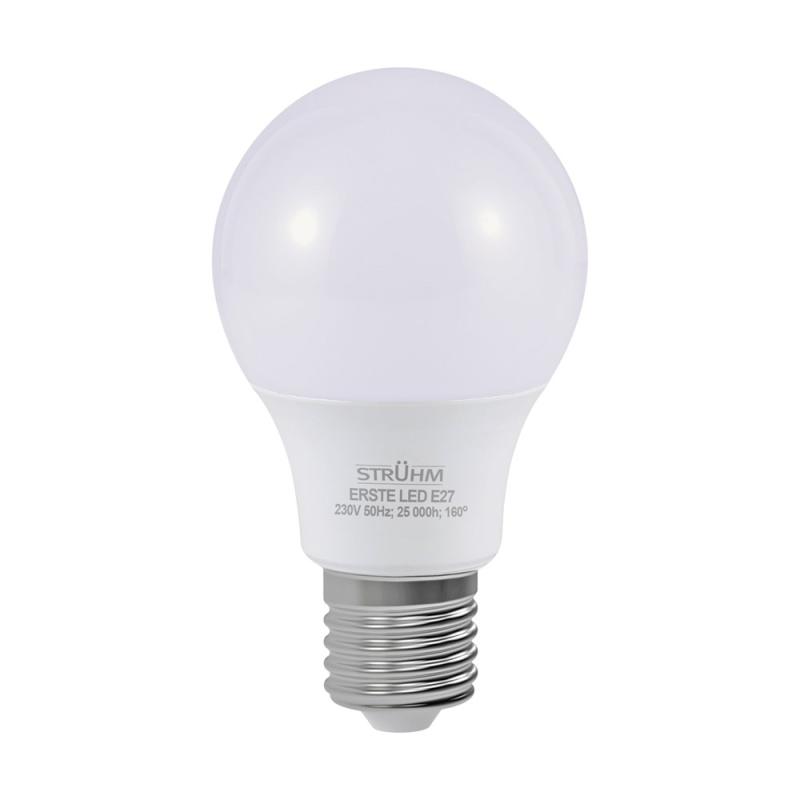 Żarówka LED ERSTE LED E27 14W NW