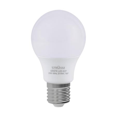 Żarówka LED ERSTE LED E27 8W NW