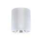 Oprawa downlight natynkowa Jupiter 13