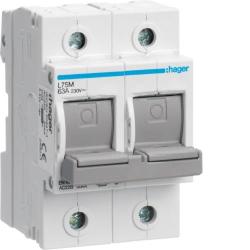 Rozłącznik bezpiecznikowy poziomy D02 2P 63A 400V L72M Hager Polo