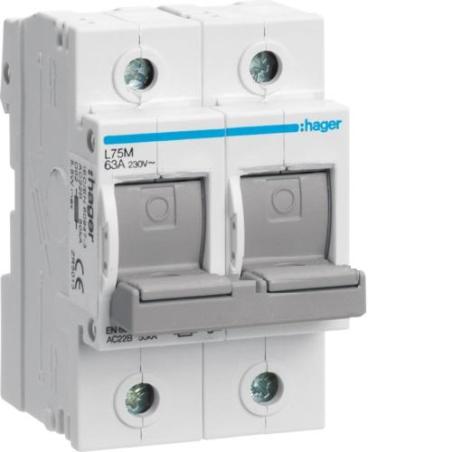 Rozłącznik bezpiecznikowy poziomy D02 2P 63A 400V L72M Hager Polo