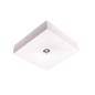 Oprawa awaryjna natynkowa STARLET QUAD SQ 150 NM 1H MT - 86534