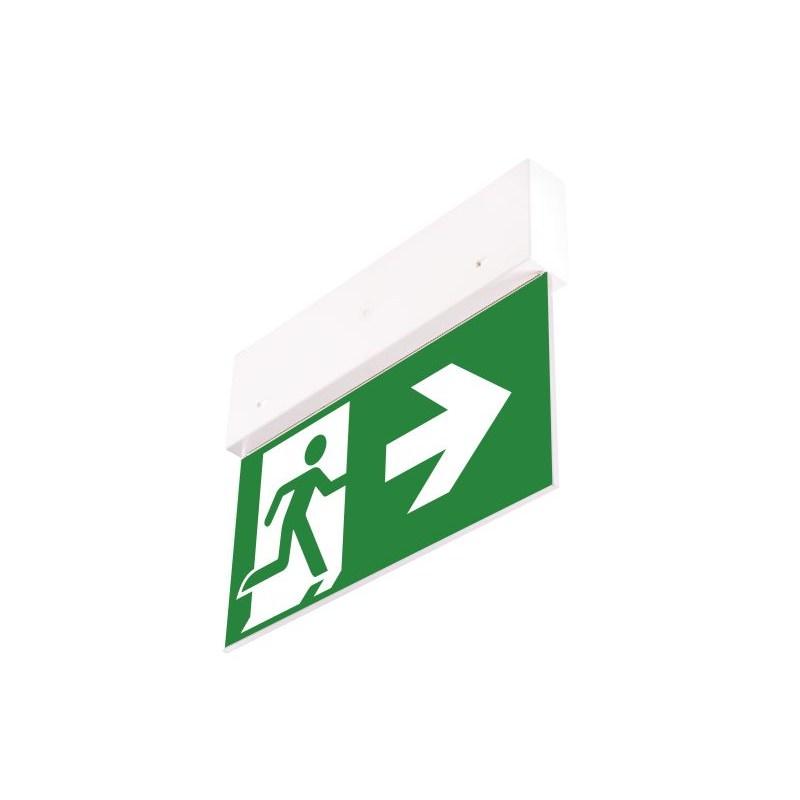 Oprawa ewakuacyjna Directo S NM 3H AT + (VD3, VD4, VD5 x 2) - 90384