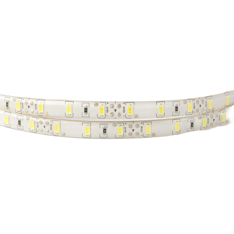 Taśma LED 300 19W/m 6500K 1550lm/m 12V IP63 /5m/