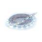 Taśma LED LATE 3m 180 6500K IP65