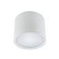 Oprawa sufitowa natynkowa tuba ROLEN LED 10W biała 4000K