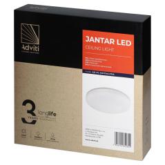 JANTAR plafon LED 30W, 3225lm, 4000K, klosz PC, IP54