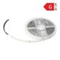 Taśma LED 12V Samsung chipset 5050 60L/m 14,4W/m IP65 RGBW 5m Taśma LED 12V Samsung chipset 5050 60L/m 14,4W/m IP65 RGBW 5m