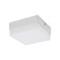 Oprawa sufitowa LED ROBIN LED D 12W NW