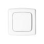 Włącznik radiowy pojedynczy natynkowy Smart Home OR-SH-1750
